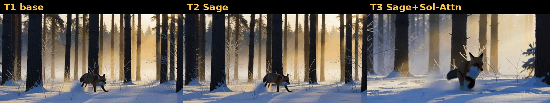 Frame 150 of the same clip on an RTX 5090 with default attention, with Sage Attention and with Sage plus Sol-Attn: the first two match and the third has a different composition